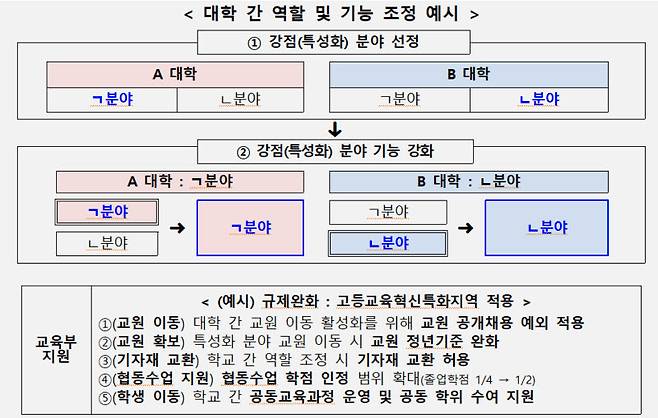 대학 간 역할 및 기능 조정 예시(자료: 교육부)