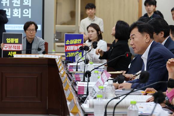 18일 정부세종청사 최저임금위원회에서 열린 제7차 전원회의에서 사용자위원인 류기정 한국경영자총협회(경총) 전무가 발언하고 있다.