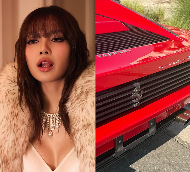 블랙핑크 리사 SNS