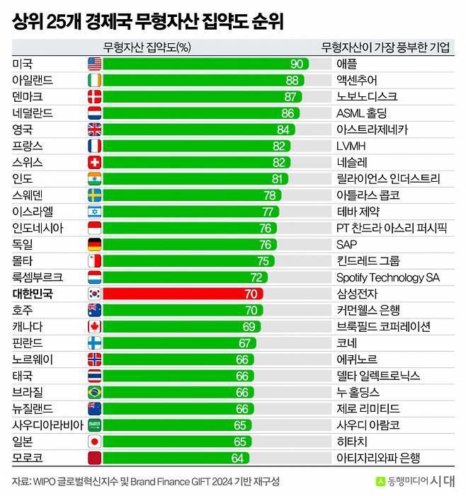 그래픽은 상위 25개 경제국 무형자산 집약도 순위. /그래픽=신재민 편집위원