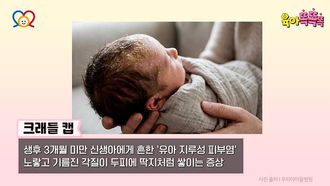/조선일보 육아 유튜브 '육아똑똑똑'