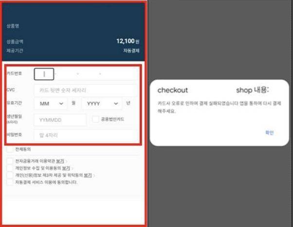 카드 정보를 탈취하기 위해 위조된 온라인 쇼핑몰 결제창. 금융보안원 제공