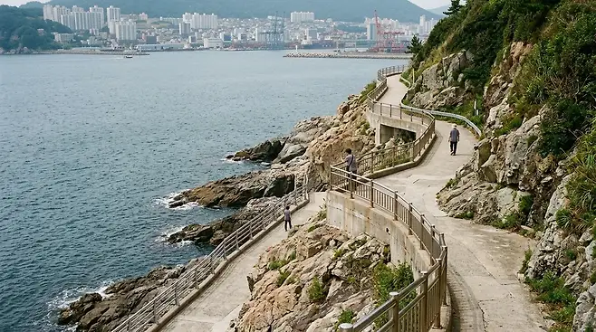 부산 흰여울·영도 해안 사진이 남는 구간은 보행 흐름을 끊지 않는다