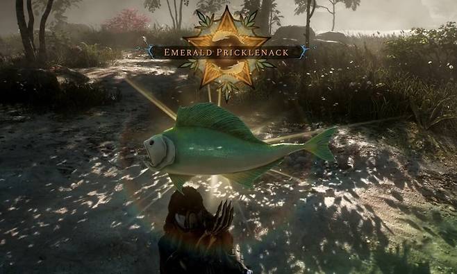 ©Digital Extremes