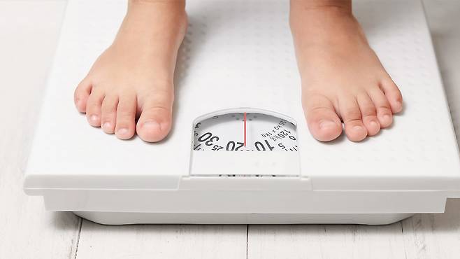 부모와 자녀가 동시에 비만한 이유는 주로 유전적 대물림이 원인이라는 연구 결과가 나왔다|출처: 클립아트코리아
