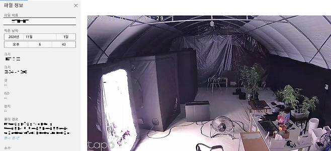 비닐하우스 내 대마 재배 현장. 마약범죄 정부합동수사본부 제공