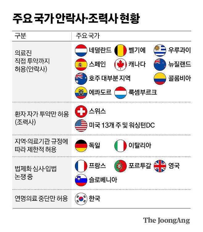 김영희 디자이너