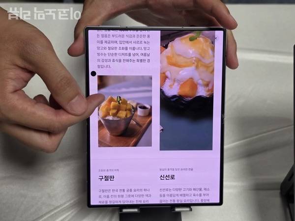삼성전자 갤럭시 Z 폴드8 울트라. 사진=양정민 이코노믹리뷰 기자