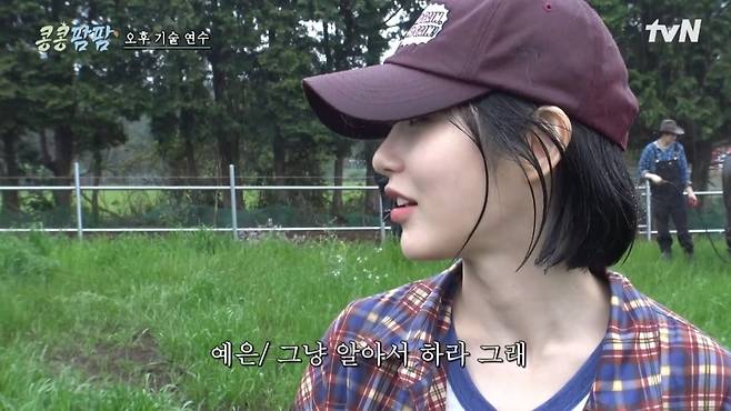 사진 = tvN '콩콩팜팜-콩 심은 데 콩 나는 가고팜 하고팜 동물농장' 캡처