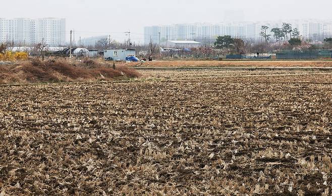 (사진=연합뉴스)