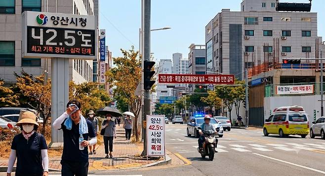 기사 이해를 돕기 위한 AI 생성 이미지