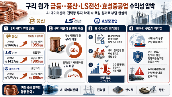 구리 공급 불안이 국내에 미친 영향 인포그래픽. AI 생성 이미지 /챗GPT