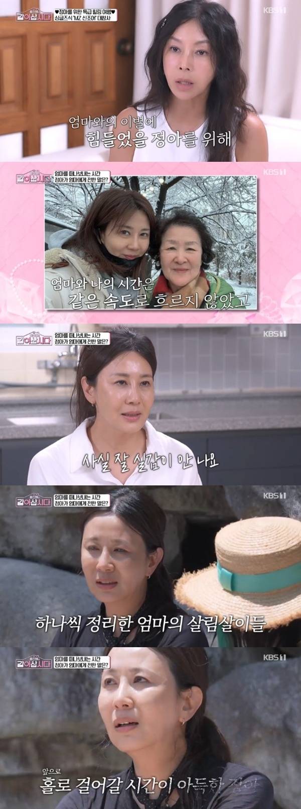 KBS 1TV '황신혜의 같이 삽시다' 캡처