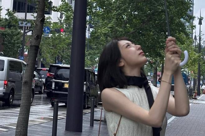출처:이채연