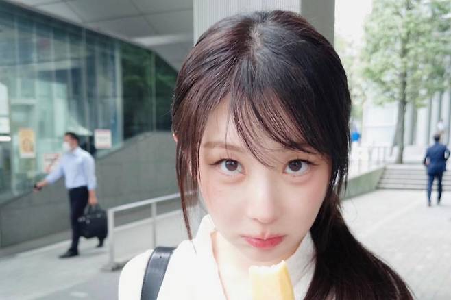 출처:이채연