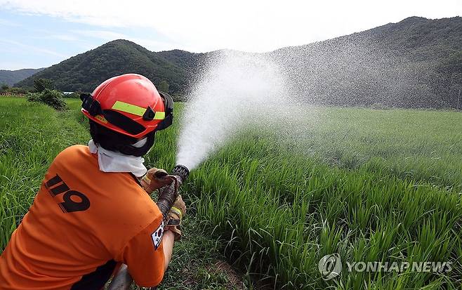 국가소방동원령 연장 첫날…밀양 농가 돕는 경기 소방 국가소방동원령 연장 첫날인 14일 오후 경기도소방본부 수원소방서 이의119센터 소방관이 경남 밀양시 청도면 한 농가에서 급수하고 있다.