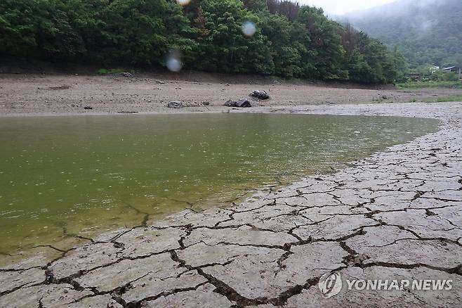 비 내리는 밀양 백안 저수지 (밀양=연합뉴스) 이준영 기자 = 극심한 가뭄이 이어지는 16일 경남 밀양시 무안면 백안 저수지에 모처럼 단비가 내리고 있다. 2026.8.16 ljy@yna.co.kr