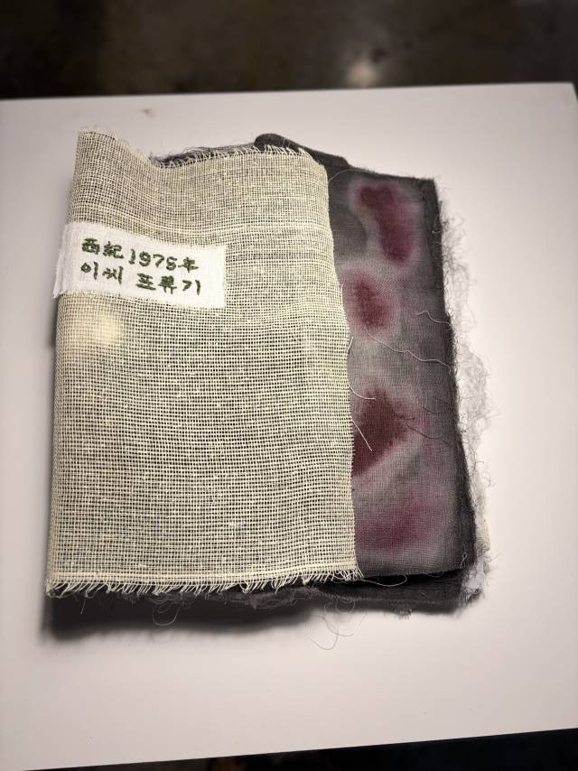 '이씨! 표류기' 낱권 책. 사진은 1975년생 남동생 책이다. 김은영 기자 key66@