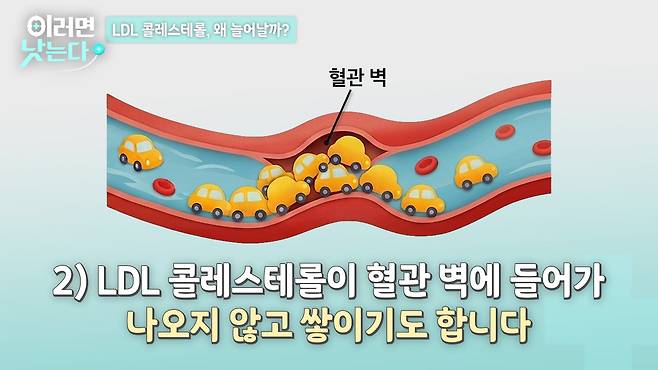 /조선일보 의학·건강 유튜브 '이러면 낫는다'
