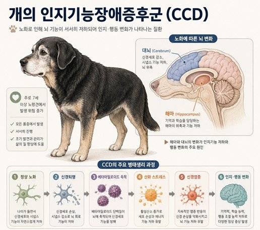 출처=연희동물의료센터