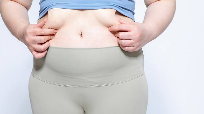 건강검진에서 담석이나 담낭 슬러지가 발견됐거나 과거 담석증을 앓은 적이 있다면 위고비나 마운자로를 시작하기 전에 의료진에게 알려야 한다|출처: 클립아트코리아