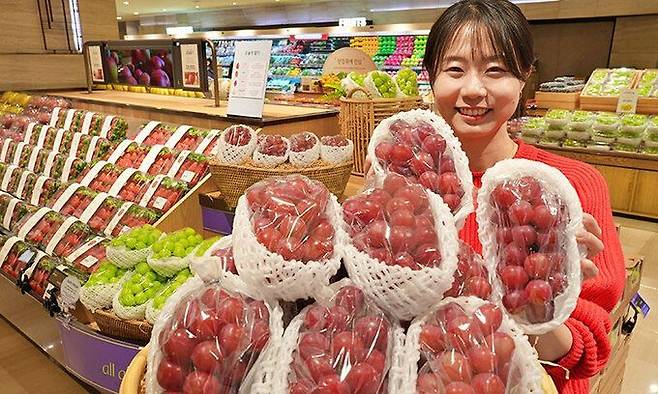 롯데백화점이 신품종 적포도 '글로리 스타'를 소개하고 있다. 연합뉴스