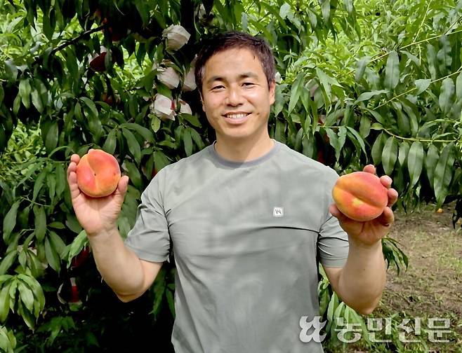 경북 영천에서 복숭아를 재배하는 이현철씨가 품종보호를 출원한 납작복숭아 변이종 ‘거황’을 들어 보이고 있다.