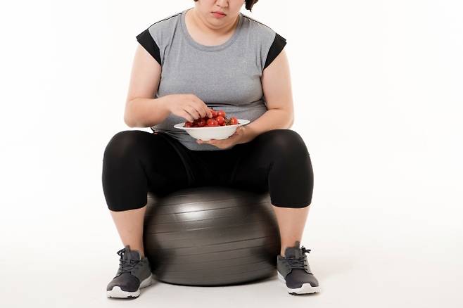 다이어트, 비만 자료 이미지. 아이클릭아트