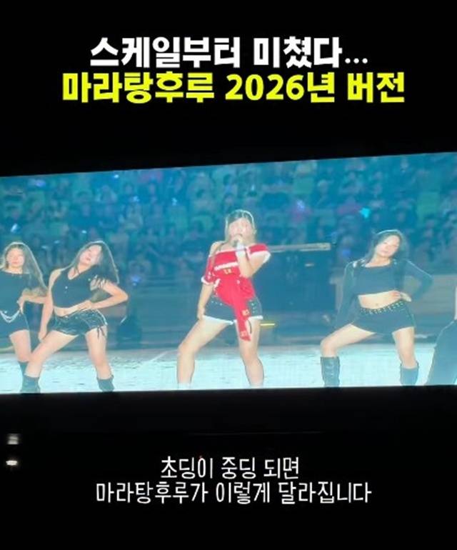 사진 | 서이브 SNS