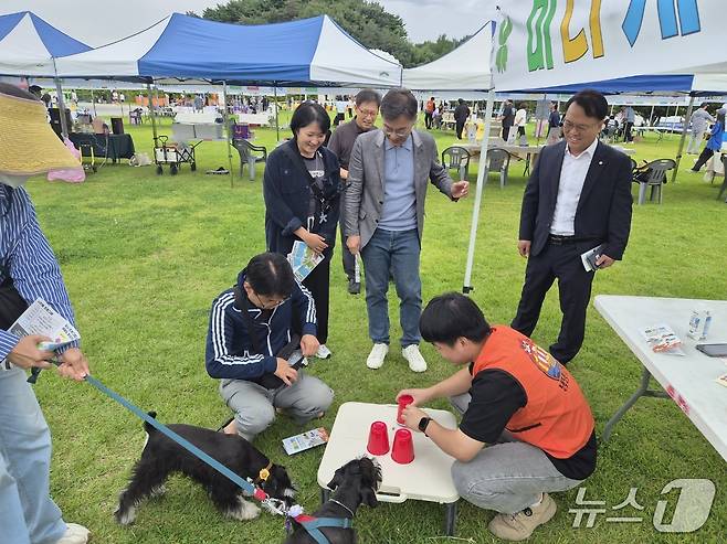 13일 강원 강릉종합운동장 야외공연장에서 '올림펫'을 주제로 열린 반려동물문화축제. (강릉시 제공. 재판매 및 DB 금지) 2026.9.13/뉴스1