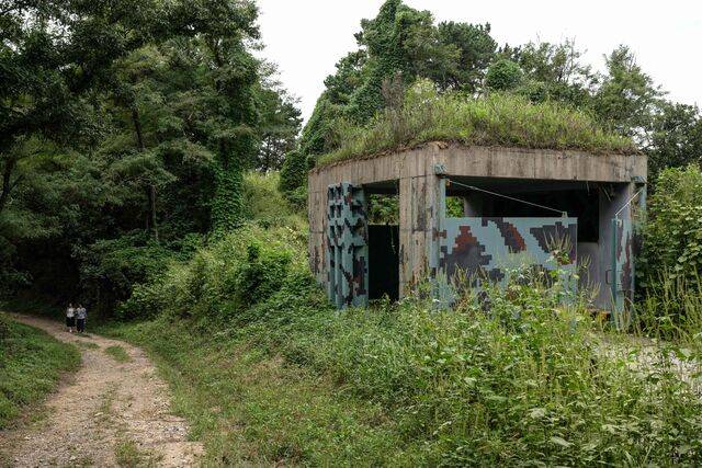 DMZ 모습. AFP연합뉴스
