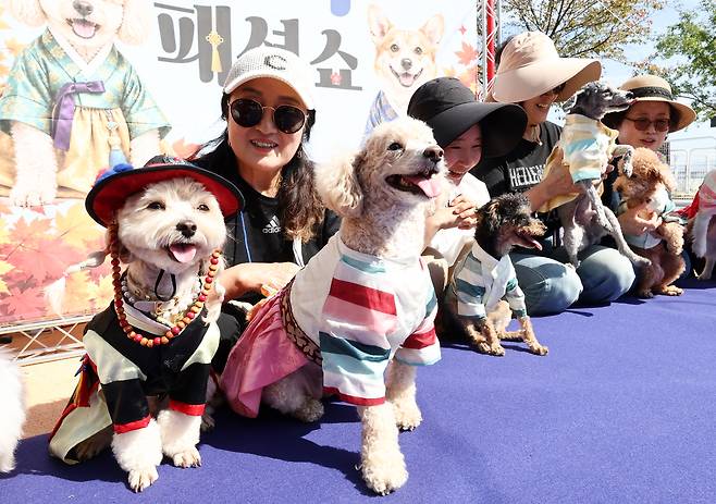 20일 오후 서울 마포구 마포 반려동물 캠핑장에서 열린 ‘한가위 맞이 댕댕이 한복 패션쇼’에서 시민들이 반려견과 함께 기념 촬영을 하고 있다. 뉴스1