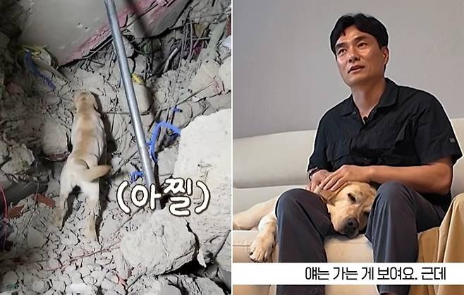해마루반려동물의료재단 공식 유튜브 채널을 통해 은퇴한 119구조견 '토백이'의 이야기를 공개했다(해마루반려동물의료재단 유튜브 갈무리). ⓒ 뉴스1