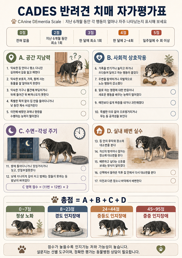 연희동물의료센터 제공