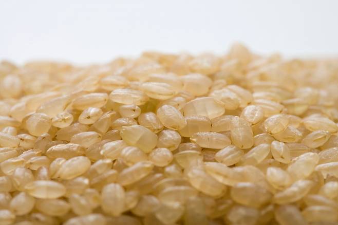 일부 연구에서는 현미 등 통곡물 섭취가 전립선특이항원(PSA) 수치가 낮은 것과 관련된다는 결과가 나왔다./사진=클립아트코리아