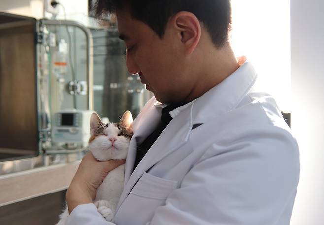 이민수 SD동물의료센터 원장이 코코를 안고 살펴보고 있다. ⓒ 뉴스1
