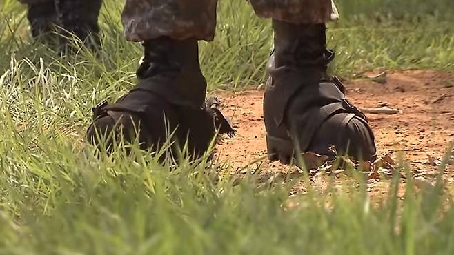 (SBS 캡처)