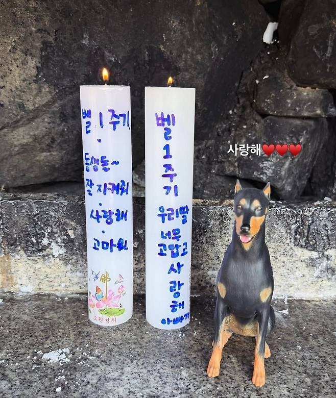 출처:배정남SNS