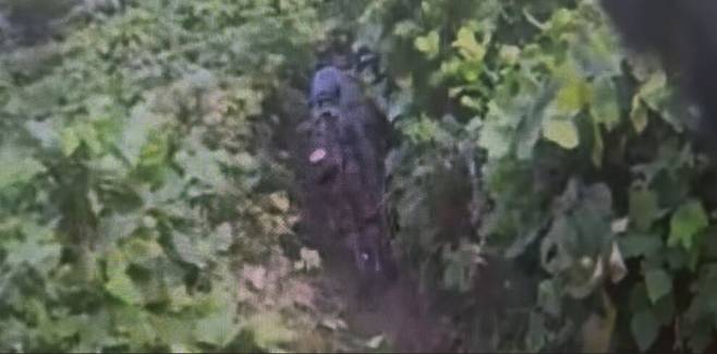 군당국과 유엔군사령부가 지뢰 추정 폭발 사고 현장조사를 앞두고 지난 26일 비무장지대(DMZ) 내에서 기동로 확보 및 작전 환경 조사 활동을 하는 모습. 수풀이 우거진 좁은 길을 장병들이 걸어가고 있다. 합동참모본부 제공 영상 갈무리