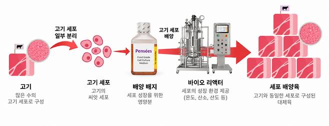 /사진제공=팡세