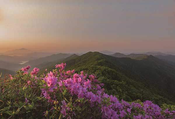 4월의 광양 백운산.