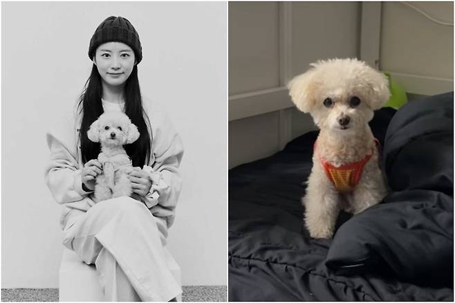 걸그룹 크랙시에서 '우아'로 활동하는 김채원 씨와 반려견 '김쪼꼬미'(인스타그램 kim_zzokkomi 제공) ⓒ 뉴스1