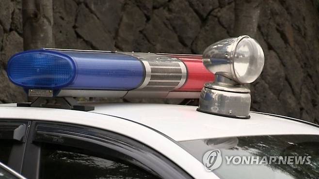 경찰차 사이렌 / 사진=연합뉴스