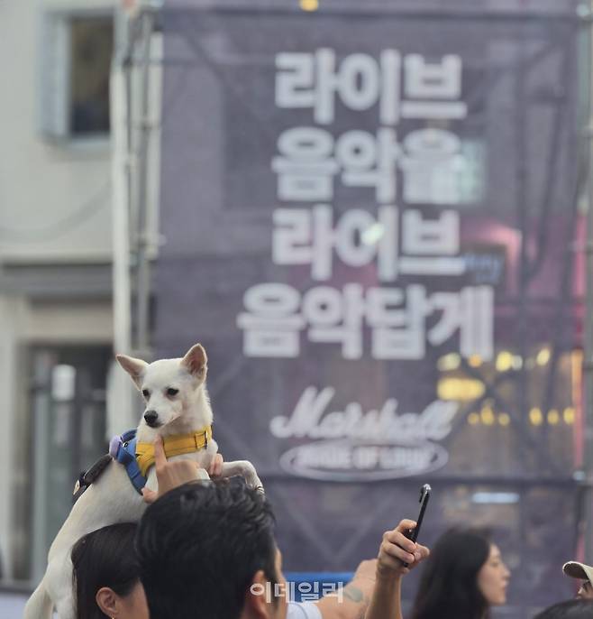 "라이브 음악은 어렵지 않개"…11일 서울 연남동 동진시장에서 열린 마샬 '라이브 프롬 연남' 현장에서 한 관람객이 반려견을 안고 공연을 즐기고 있다. (사진=한광범 기자)