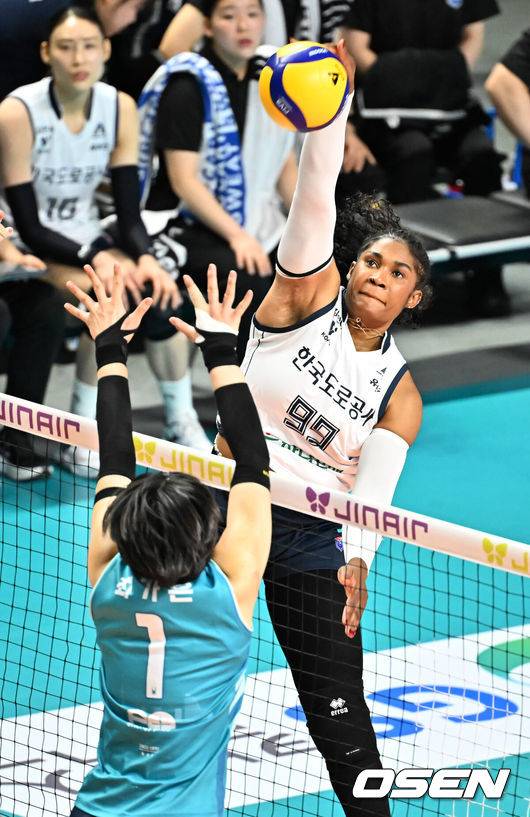 한국도로공사 하이패스 모마. /OSEN DB
