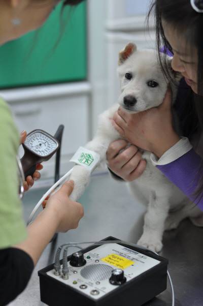이 원장은 최근 반려동물이 어릴 때부터 건강검진을 하려는 보호자들이 늘고 있다고 설명했다(이끌림동물병원 제공). ⓒ 뉴스1