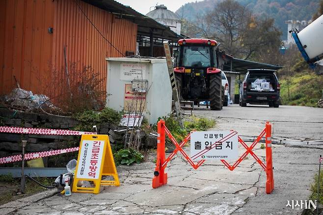 매년 겨울 가축전염병이 돌면 동물들은 살처분된다. ⓒ시사IN 신선영