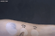 출처: 파이베트 (파이뷰티)