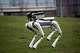 출처: Boston Dynamics