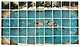 출처: Nathan Swimming Los Angeles March 11th 1982 composite polaroid 18 x 30 in 45.7 x 76.2 cm Private collection(002)｜Tate.org.uk
